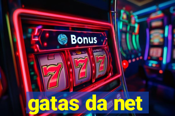 gatas da net